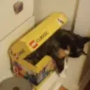 El Basement