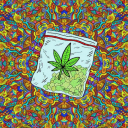 💚ᴅᴏɴ'ᴛ ᴅᴏ ᴅʀᴜɢꜱ💚