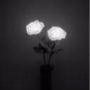 Everchanging