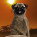 Mac's Snaccs