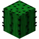 SavannaCraft🌵
