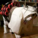 Suicide Bombers
