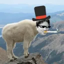 Mountain Goats