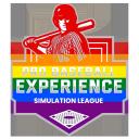 ⚾ Pro Baseball Experience ⚾
