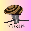 r/Snails