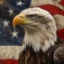 Secret American Discord