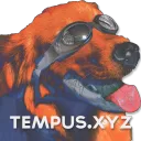 Tempus Network