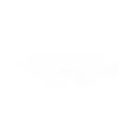 x.X.x-Clan