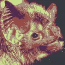 bats/bats/code