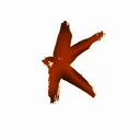 KEERG
