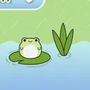 The pond
