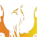 Quelques Plumes