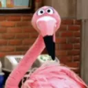 Flamingos & Pens
