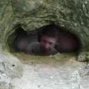 Cuevita