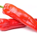 Spicy Bois