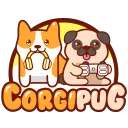 corgipug