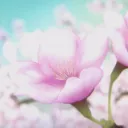 Le Jardin d'Ayumi