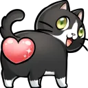 Commewnity