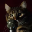 Kerrin's Cool Cats Club