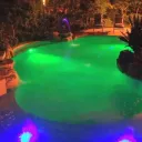 The Algae Pool  🌊™