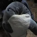 EL TEAM DELFINITIVAMENTE DELFINITIVO DE DELFINES