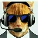 Catman Chat