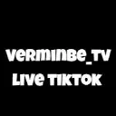 verminbe_gaming