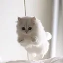 Emote server