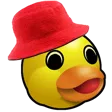 Shaneyb12 #DuckGang