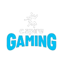 C Spire Gaming
