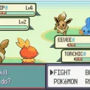 Pokémon: Double Versions