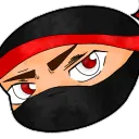 Team Ninja Craft