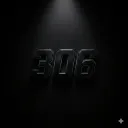 306
