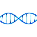 The Gene Pool