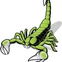 The Scorpions