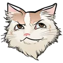 Twitch.tv/jordnik