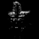 TheFingerPuppets Discord