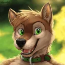 Mutt Corner