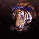 Kaptan Kaplan banner