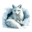 Artic Fox Hangout
