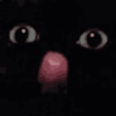 Manicomio do Candie - discord server icon