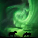 THEcocokillalife Discord server icon