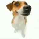 Jakecord