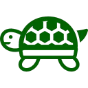 turtle-insect