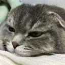 てくさば