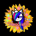 Shaggie's Playroom