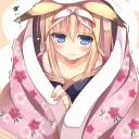 The Blanket Collection