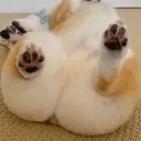 게이ㅁ바ㅇ