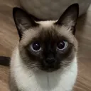 The Legends #NeverDie❤