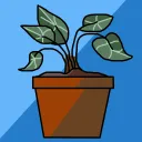 Take Care of Our Plants